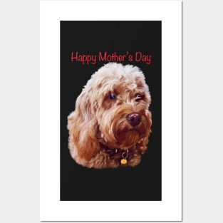 The best Mother’s Day gifts 2022, happy mother’s day- Cavapoo puppy dog  - cavalier king charles spaniel poodle, Cavoodle puppy love Posters and Art